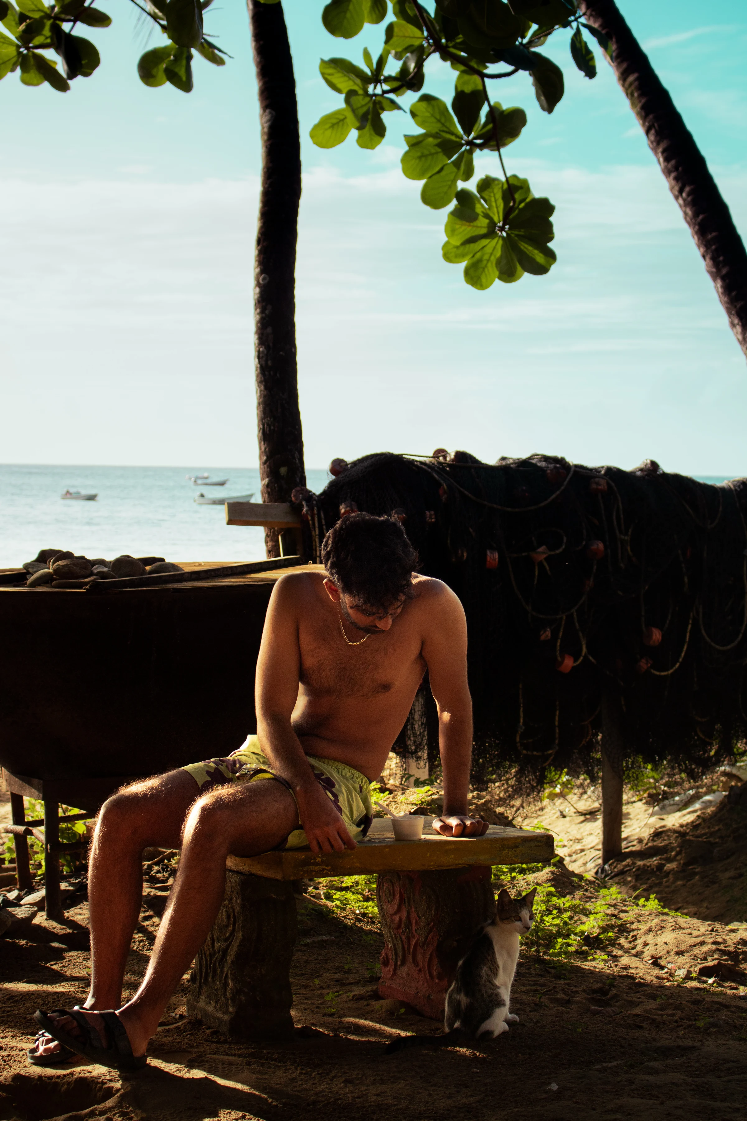 Portfolio photograph 10