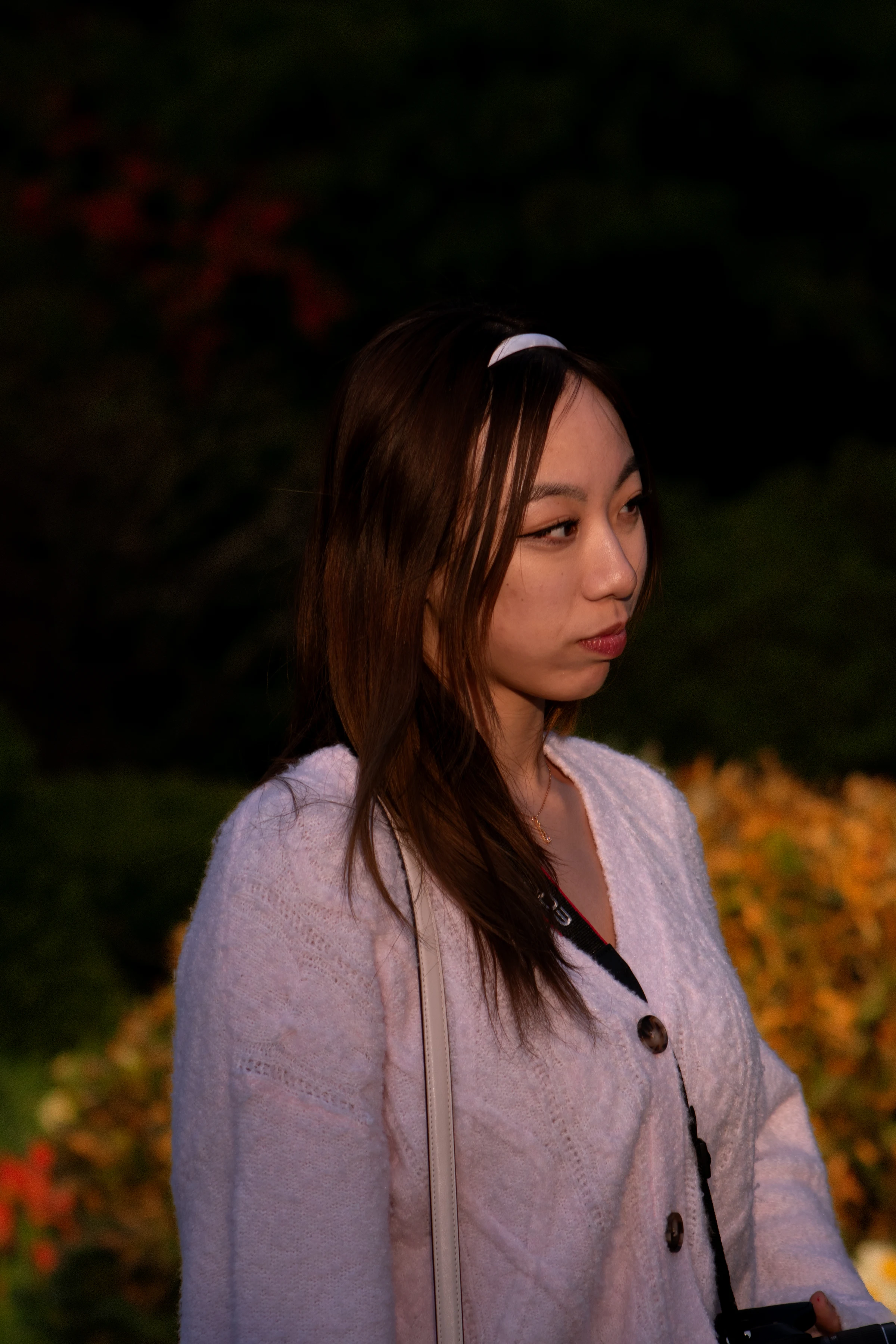 Portfolio photograph 5